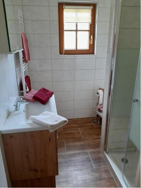 Apartamento Haus Eder Ramsau am Dachstein Exterior foto